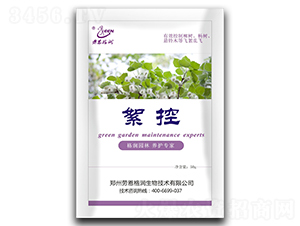 ����-�ڶ���