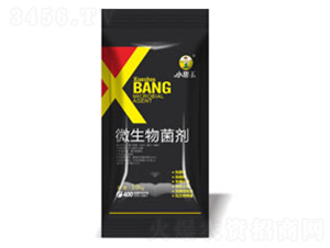 ΢�������-����������