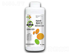 ø���~�����ܝ{-������-ϲ����