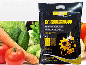 �VԴ�S�����-СħŮ-���н�