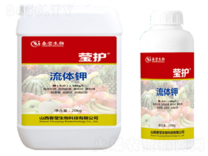 ���w�-���o(h��)-��������