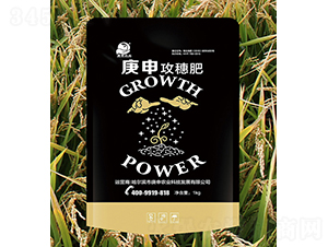 庚申攻穗肥-庚申農(nóng)業(yè)