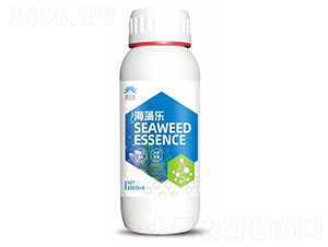 ���嘷(l��)-�֠���(l��)