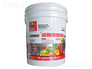 ̼ø���ľ�-�º���