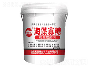 �������-����������