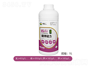 ��⛄�(d��ng)��-���c(di��n)