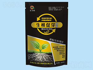 ������ѿ����-������