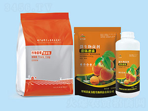 ΢�������-�����������b-������