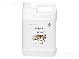 �r(n��ng)������-�r(n��ng)����