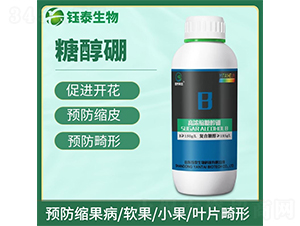 �Ǵ���-�̩����