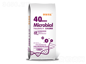 �����m�÷�-�к��S��-�к����ʘI(y��)