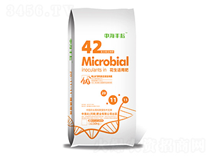 �����m�÷�-�к��S��-�к����ʘI(y��)