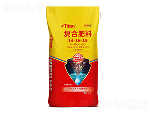 ���{���������(f��)�Ϸ���14-16-15-���컯����