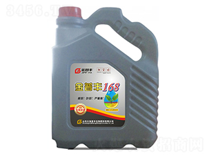 �����S168-�����S