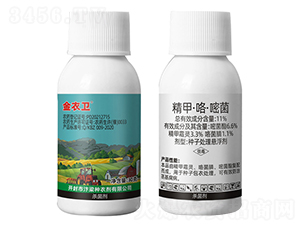 11%���ס������׾�-�����l(w��i)-����1