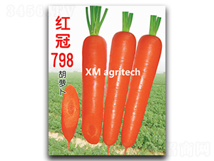 �t��798-���}���N��-���r(n��ng)�r(n��ng)�I(y��)