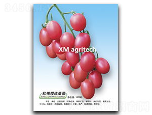 ����-���ҷ��ѷN��-���r(n��ng)�r(n��ng)�I(y��)