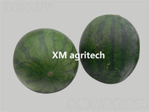 �����o��-���ϷN��-���r(n��ng)�r(n��ng)�I(y��)