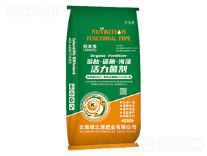 ����̼ø�����������-���׶�-�G֮Դ