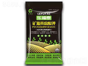 �VԴ�S�����-����