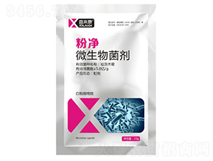 ΢�������-�ۃ�-ϲ����