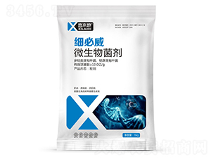 ΢�������-��(x��)����-ϲ��(l��i)��