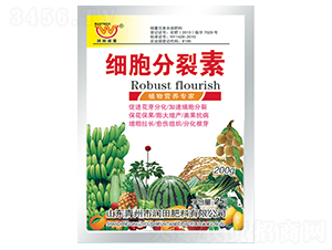 ���b��(x��)��������-��(r��n)����� 