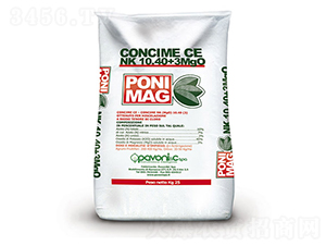 ���⡤����-����