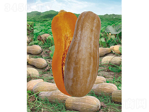 �����۱��Ϲ�980F1-�ϹϷN��-�V�݁���