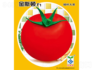 ��˹�DF1-���ѷN��-�V�݁���