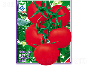 ���@��1̖-���ѷN��-�V�݁���