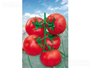 ����������-���ѷN��-�V�݁���