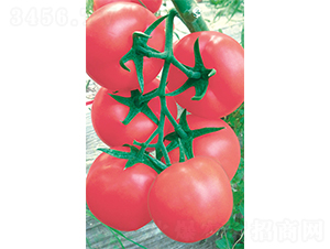 ����608-���ѷN��-�V�݁���