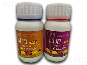 �������ѽM��-�@��388-�������