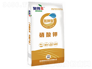 �����-�۵��S�r�I(y��)