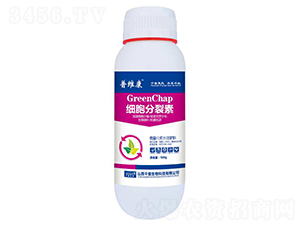 ��(x��)��������-�վS��-ǧ������ 