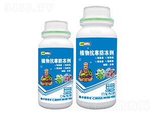 ֲ�￹��������-�ڵÌ�