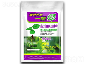 �S�~����һ���G-�G�Ø�-�����ʘI(y��)