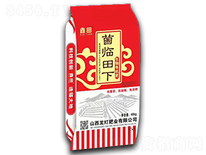 �����ЙC��-���R����-�����ʘI(y��)