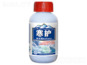 ������-���o(h��)-������