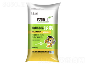 ø�⺣������-����S