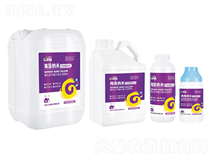 ����{���}���F�\�V-�G���}-������