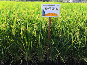 ���Ƀ�(y��u)�S��ռ-ˮ���N��-¡ƽ�N�I(y��)