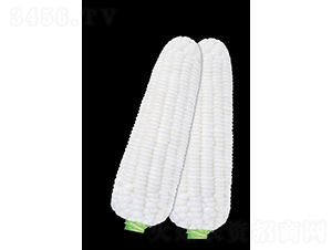 ��ճ7̖(h��o)-���׷N��-���S�N�I(y��)