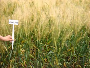 ����16-С���N��-���S�N�I(y��)