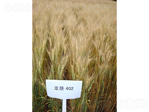 ����402-С���N��-���S�N�I(y��)