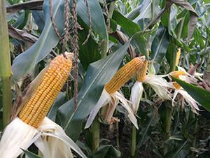 ����134-���׷N��-���S�N�I(y��)