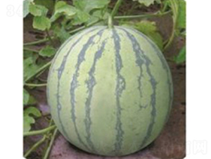 ���8424-���ϷN��-�_���r(n��ng)�Y