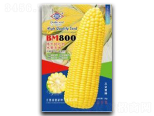 BM800-ˮ�����׷N��-�_���r(n��ng)�Y