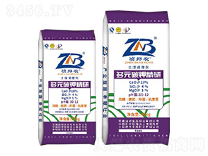 草木灰多元碳鉀精研-果禎盛-國禎生態(tài)